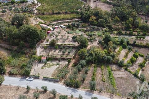 Helårsgrund i Penalva do Castelo, Viseu, Penalva do Castelo - € 51.000 | Ref: 151230 - foto 3