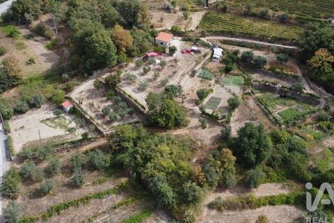 Helårsgrund i Penalva do Castelo, Viseu, Penalva do Castelo - € 51.000 | Ref: 151230 - foto 4