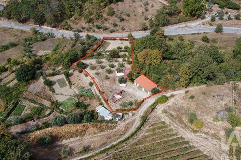 Helårsgrund i Penalva do Castelo, Viseu, Penalva do Castelo - € 51.000 | Ref: 151230 - foto 5