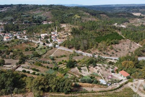 Helårsgrund i Penalva do Castelo, Viseu, Penalva do Castelo - € 51.000 | Ref: 151230 - foto 6