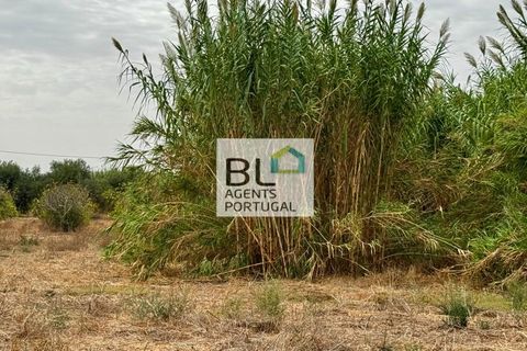 Villa i Tavira, Faro, Tavira - € 540.000 | Ref: CAS_755 - foto 8