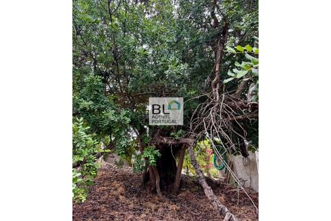 Villa i Tavira, Faro, Tavira - € 540.000 | Ref: CAS_755 - foto 9