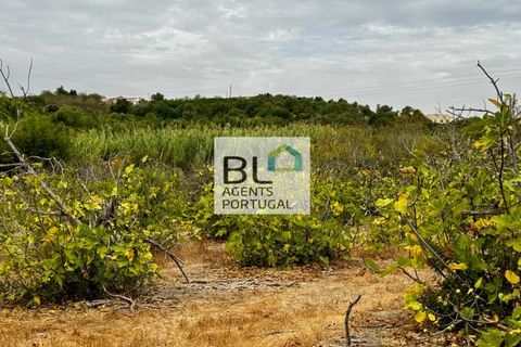 Villa i Tavira, Faro, Tavira - € 540.000 | Ref: CAS_755 - foto 10