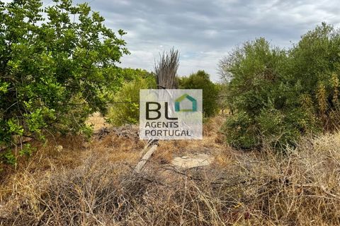Villa i Tavira, Faro, Tavira - € 540.000 | Ref: CAS_755 - foto 11