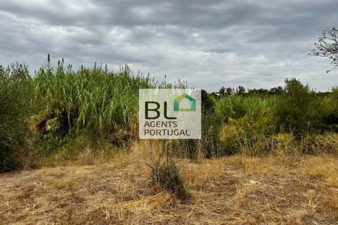 Villa i Tavira, Faro, Tavira - € 540.000 | Ref: CAS_755 - foto 12