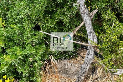 Villa i Tavira, Faro, Tavira - € 540.000 | Ref: CAS_755 - foto 18