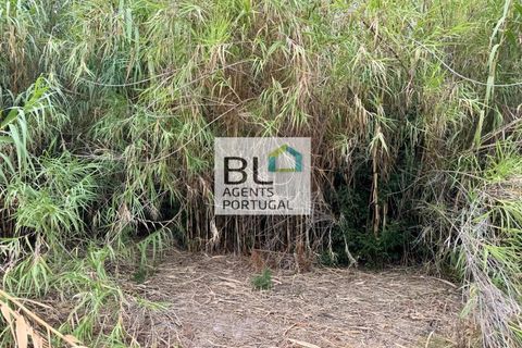 Villa i Tavira, Faro, Tavira - € 540.000 | Ref: CAS_755 - foto 21