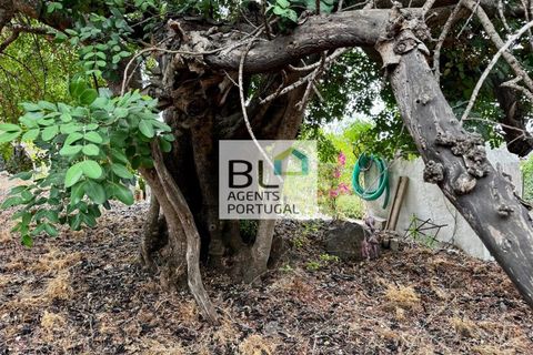 Villa i Tavira, Faro, Tavira - € 540.000 | Ref: CAS_755 - foto 29