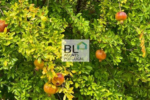 Villa i Tavira, Faro, Tavira - € 540.000 | Ref: CAS_755 - foto 32