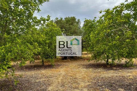 Villa i Tavira, Faro, Tavira - € 540.000 | Ref: CAS_755 - foto 35