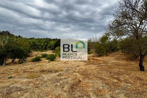Villa i Tavira, Faro, Tavira - € 540.000 | Ref: CAS_755 - foto 40