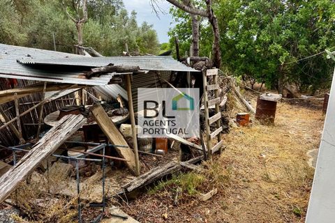 Villa i Tavira, Faro, Tavira - € 540.000 | Ref: CAS_755 - foto 46
