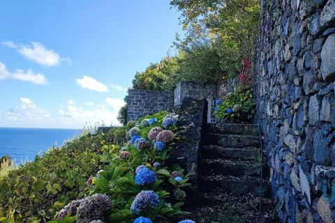 Terra a Lagoa, Sao Miguel, Lagoa - € 450.000 | Ref: 104239 - foto 9