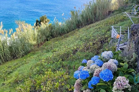 Terra a Lagoa, Sao Miguel, Lagoa - € 450.000 | Ref: 104239 - foto 10