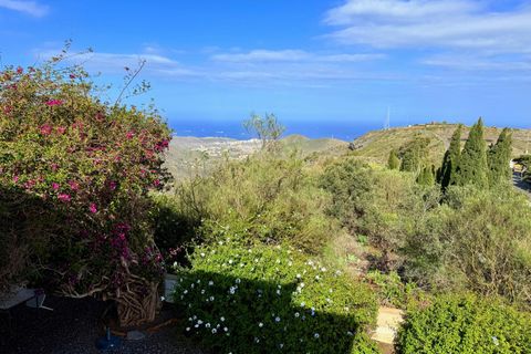 Granja a Telde, Gran Canaria, Telde - € 12.000.000 | Ref: S0231/5259 - foto 8