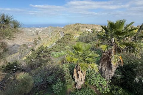 Granja a Telde, Gran Canaria, Telde - € 12.000.000 | Ref: S0231/5259 - foto 9