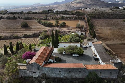 Granja a Telde, Gran Canaria, Telde - € 12.000.000 | Ref: S0231/5259 - foto 17