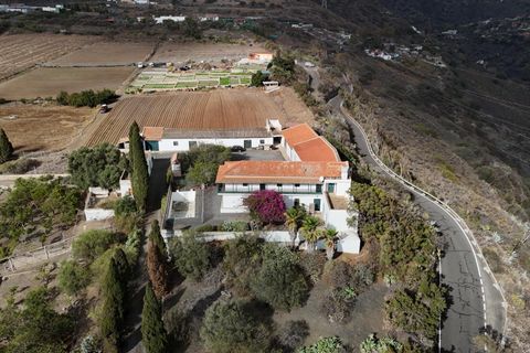 Granja a Telde, Gran Canaria, Telde - € 12.000.000 | Ref: S0231/5259 - foto 18
