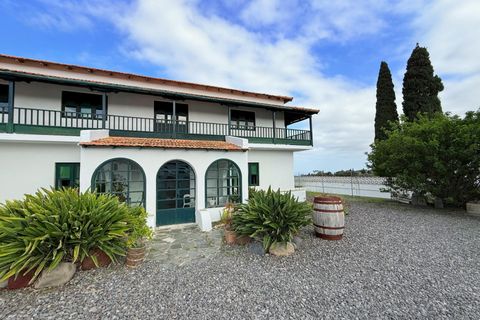 Granja a Telde, Gran Canaria, Telde - € 12.000.000 | Ref: S0231/5259 - foto 21