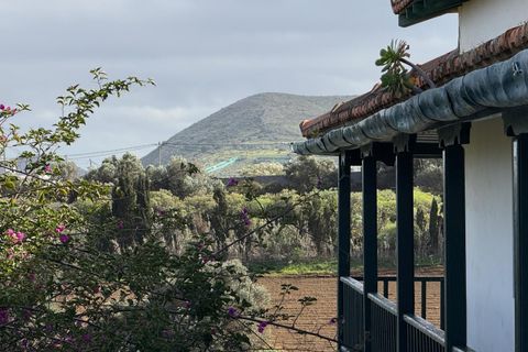 Granja a Telde, Gran Canaria, Telde - € 12.000.000 | Ref: S0231/5259 - foto 23