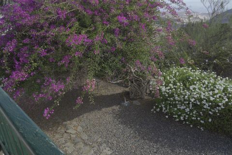 Granja a Telde, Gran Canaria, Telde - € 12.000.000 | Ref: S0231/5259 - foto 27
