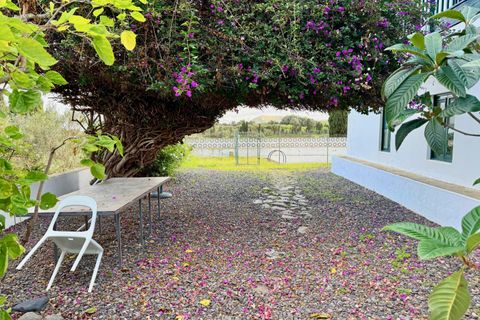 Granja a Telde, Gran Canaria, Telde - € 12.000.000 | Ref: S0231/5259 - foto 32