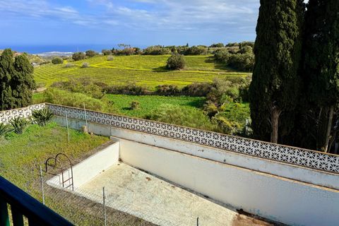 Granja a Telde, Gran Canaria, Telde - € 12.000.000 | Ref: S0231/5259 - foto 35