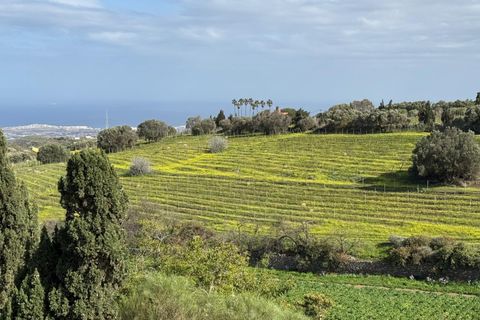 Granja a Telde, Gran Canaria, Telde - € 12.000.000 | Ref: S0231/5259 - foto 37