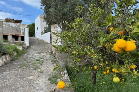 Granja a Telde, Gran Canaria, Telde - € 12.000.000 | Ref: S0231/5259 - foto 39