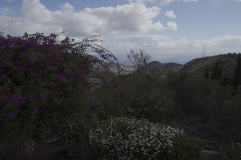 Granja a Telde, Gran Canaria, Telde - € 12.000.000 | Ref: S0231/5259 - foto 40