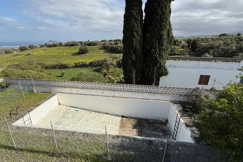 Granja a Telde, Gran Canaria, Telde - € 12.000.000 | Ref: S0231/5259 - foto 41