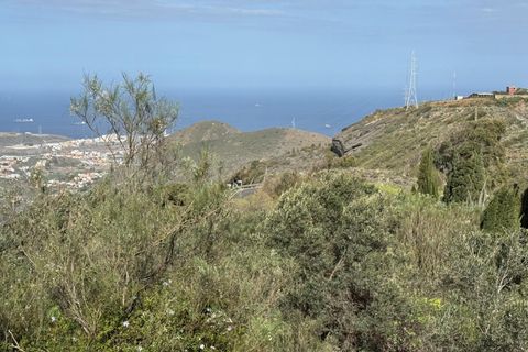 Granja a Telde, Gran Canaria, Telde - € 12.000.000 | Ref: S0231/5259 - foto 42