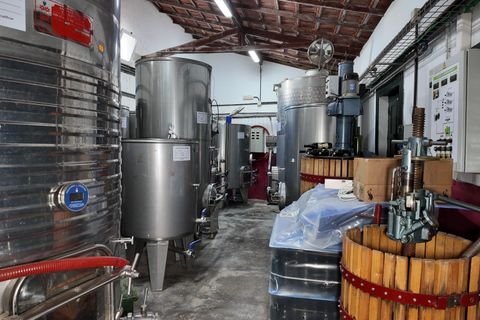 Granja a Telde, Gran Canaria, Telde - € 12.000.000 | Ref: S0231/5259 - foto 45