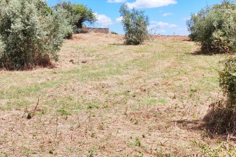 Helårsgrund i Serra, Santarem, Serra - € 150.000 | Ref: TAM_605 P - foto 7