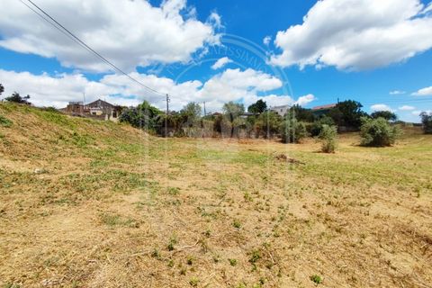 Helårsgrund i Serra, Santarem, Serra - € 150.000 | Ref: TAM_605 P - foto 8
