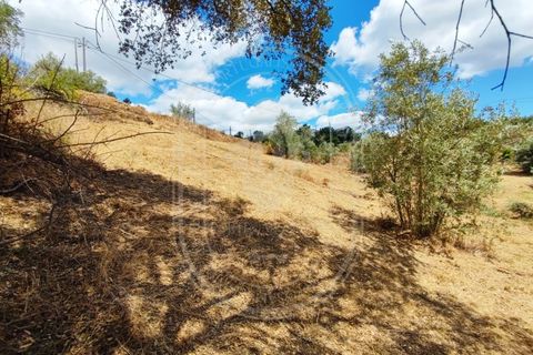Helårsgrund i Serra, Santarem, Serra - € 150.000 | Ref: TAM_605 P - foto 13