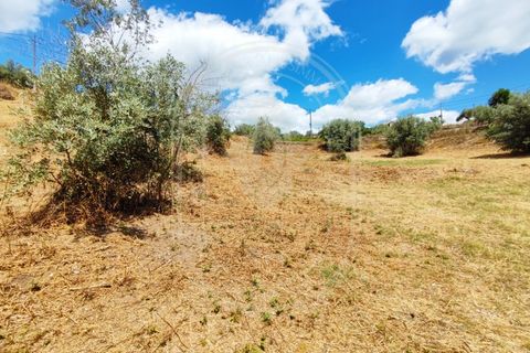 Helårsgrund i Serra, Santarem, Serra - € 150.000 | Ref: TAM_605 P - foto 14