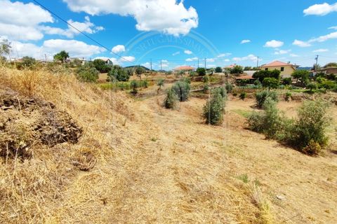 Helårsgrund i Serra, Santarem, Serra - € 150.000 | Ref: TAM_605 P - foto 17