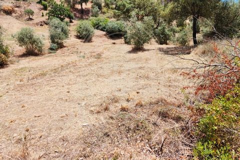 Helårsgrund i Serra, Santarem, Serra - € 150.000 | Ref: TAM_605 P - foto 19