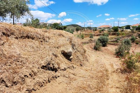 Helårsgrund i Serra, Santarem, Serra - € 150.000 | Ref: TAM_605 P - foto 20