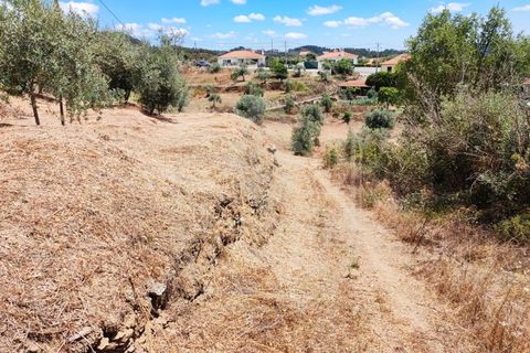 Helårsgrund i Serra, Santarem, Serra - € 150.000 | Ref: TAM_605 P - foto 21