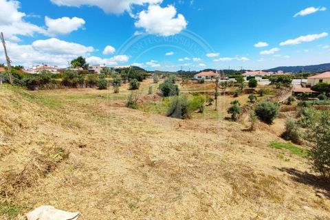 Helårsgrund i Serra, Santarem, Serra - € 150.000 | Ref: TAM_605 P - foto 23