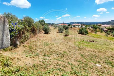 Helårsgrund i Serra, Santarem, Serra - € 150.000 | Ref: TAM_605 P - foto 28
