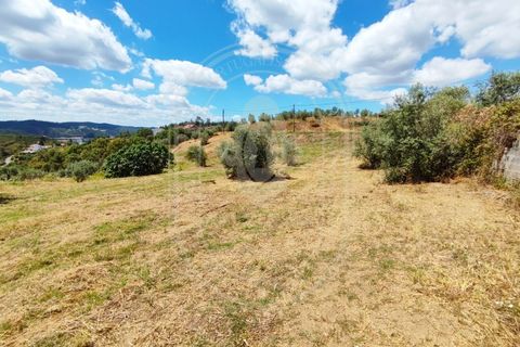 Helårsgrund i Serra, Santarem, Serra - € 150.000 | Ref: TAM_605 P - foto 31