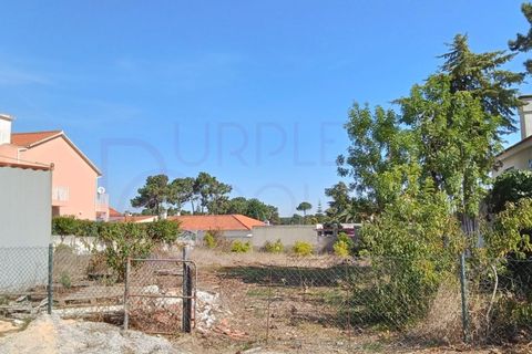 Helårsgrund i Corroios, Setubal, Corroios - € 530.000 | Ref: 115 - foto 11