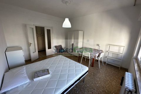 Villa a Chieti, Chieti, Chieti - € 195/mes | Ref: S 347 - foto 6