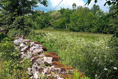Villa a Limogne-en-Quercy, Lot, Limogne-en-Quercy - € 250.000 | Ref: 417567NTK - foto 16
