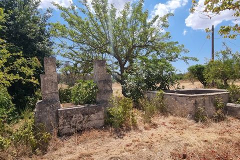 Villa i Oria, Brindisi, Oria - € 135.000 | Ref: V762 - foto 4