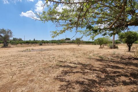 Villa i Oria, Brindisi, Oria - € 135.000 | Ref: V762 - foto 5