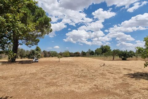 Villa i Oria, Brindisi, Oria - € 135.000 | Ref: V762 - foto 6